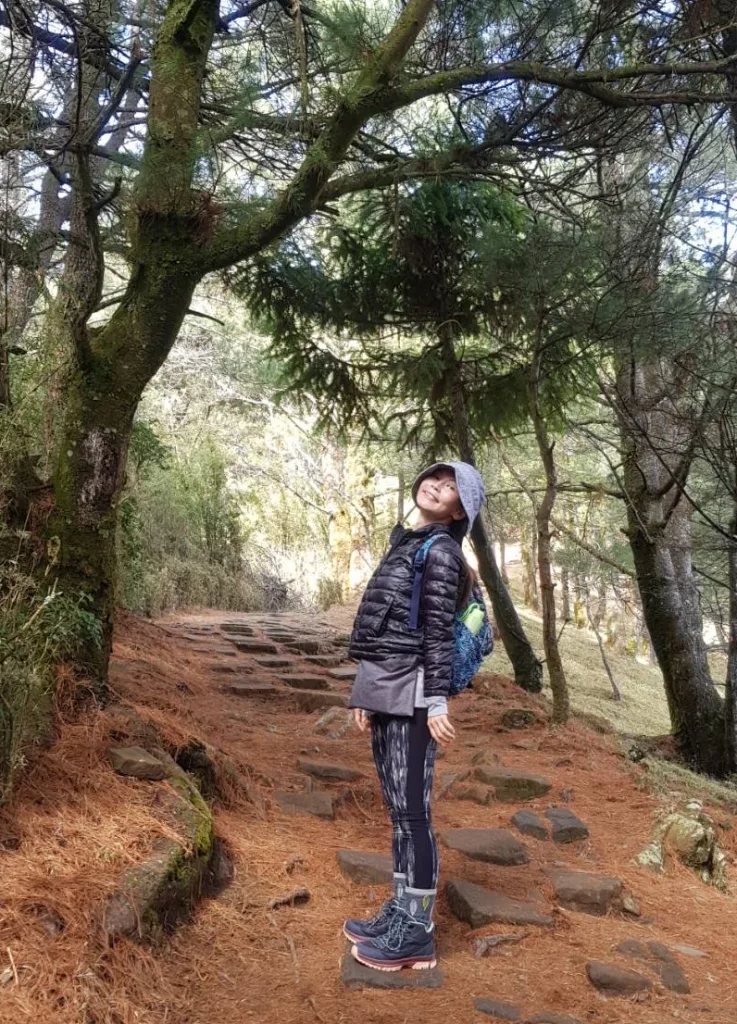 Pic of TingTing in the forest