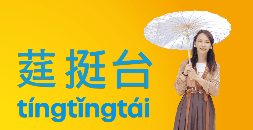 tingtingtai-front-big
